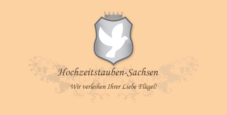 Hochzeitstauben Dresden & Meien